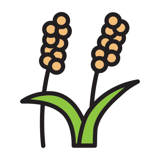 Millets (Whole Grains)